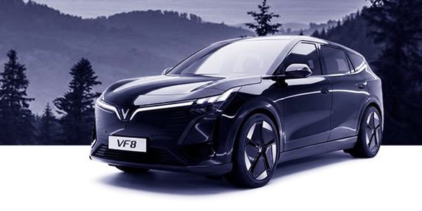 vf8 23 vf8 all new mau den